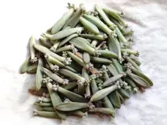 えみちゃん様 リクエスト 2点 まとめ商品