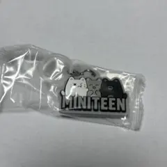 2026年最新】miniteen seventeen ジュンの人気アイテム - メルカリ