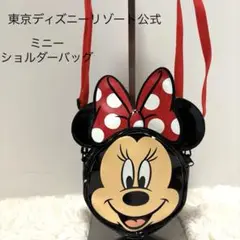 レア⭐︎】ディズニーリゾート限定☆ミニー40周ぬいぐるみ＆宿泊者限定非売品ポーチ Disney - ディズニーリゾート限定☆ミニー40周ぬいぐるみ＆宿泊