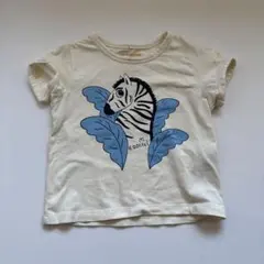 ミニロディーニ　しまうま　Tシャツのサムネイル