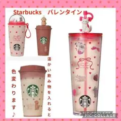 Starbucks バレンタインセット タンブラーネコ　チョコレート　4点セット