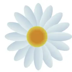 りゅま様