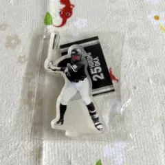 岡大海　アクリルスタンド