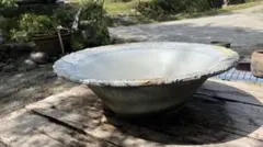 メダカ鉢 ‼️水鉢 睡蓮鉢 中野行山造‼️横幅48センチ メダカ鉢 ‼️水鉢 睡蓮鉢 中野行山造‼️横幅48センチ - メルカリ