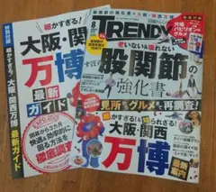 Item thumbnail for item 551dac04-1dc6-43be-a162-bcce0484a9db