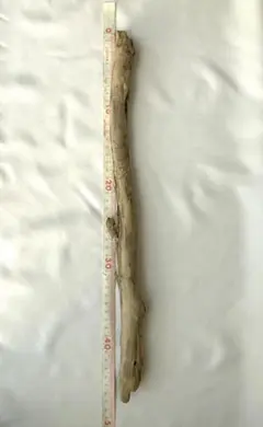 Item thumbnail for item 06bed58c-2464-49fa-922e-6da1509166fb