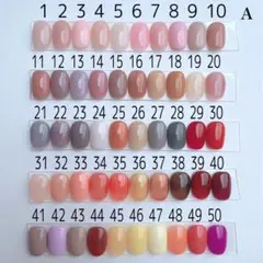 《カラーサンプル》じょせふぃ〜ぬ 様 専用