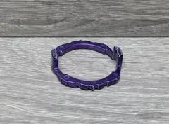 爆旋Beyblade 10裝甲 紫色塗裝