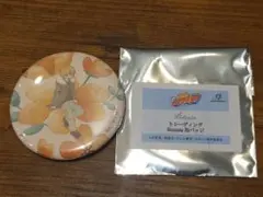 家庭教師ヒットマンREBORN! トレーディング Botania 缶バッジ