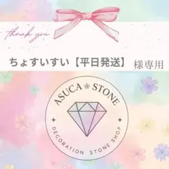 ちょすいすい【平日発送】様