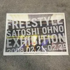 【新品未開封】嵐 大野智 FREESTYLE アートカードD