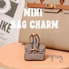 バッグチャーム 小物入れ キーホルダー ミニ ストラップ イヤホンケース