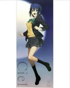 2026年最新】月姫 タペストリーの人気アイテム - メルカリ