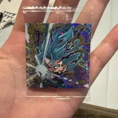 【美品】ドラゴンボール　超戦士シールウエハース超　勝利への執念　RGRベジット