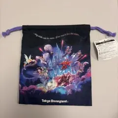 東京ディズニーランド キャラクターポーチ