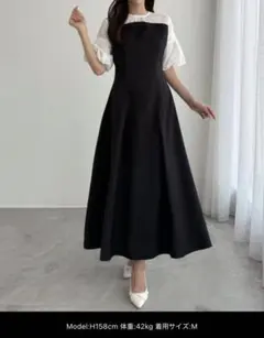 ワンピース 半袖 シアーバルーンスリーブドッキングワンピース　CENEA