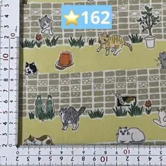 ⭐️162ラミネート生地1メートル