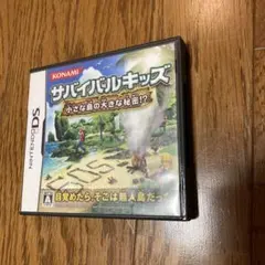 ニンテンドー3DSソフト　サバイバルキッズ　小さな島の大きな秘密⁈