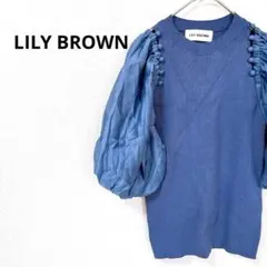 2.52 【リリーブラウン】半袖 カットソー 袖ボリューム 透け感 リブ 個性派