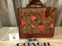 レア！大幅値下げ！新品　coach いちご　バッグ コーチの2024年作いちご柄ミニバッグ「スウィンガー バッグ 20