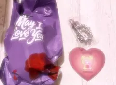 Maymei May I Love you wild Rose