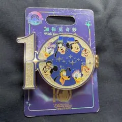 非売品 TDL 東京ディズニーランド ミッキーマウス 成人式 浦安市