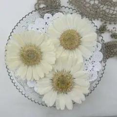 Item thumbnail for item 27af941f-1699-442a-aecf-af0603031823