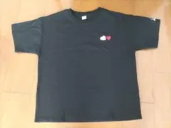 【期間限定価格!!】★超美品★PEANUTS スヌーピー刺繍Ｔシャツのサムネイル