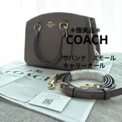 Carbotti ハンドバッグ 310B Palmettato Taupe - メルカリ