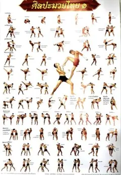 Item thumbnail for item 5c7bdea1-a0b5-4703-ab9e-bfcf09599078