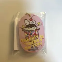Peanuts シャカシャカキーホルダー