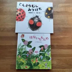 山梨の木のてっぺん桃 超特大を5個詰めて発送 人気商品 ももやのきよし
