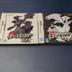 ポケットモンスター ホワイト・ブラック 2本セット