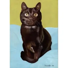 朝倉攝】猫のアート(悪太郎)額装 - メルカリ