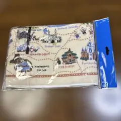 フェイスタオル　パークマップ　東京ディズニーリゾート