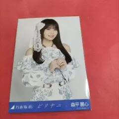 乃木坂46 森平麗心 ビリヤニ ビジュアルカード B - メルカリ