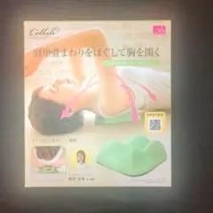 Item thumbnail for item 8c95858e-3635-45a4-9b67-a662447e9745