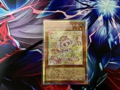 LOCH マルチャミー・ニャルス プリシク マルチャミーニャルス