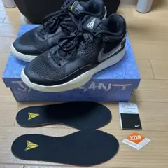 Nike JA1 EP 27.5cm
