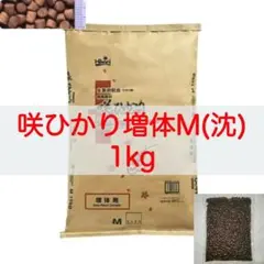 キョーリン 咲ひかり 増体 Mサイズ(沈下) 1kg 錦鯉・金魚・川魚のサムネイル