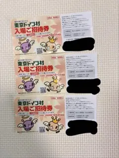 【メルカリ祭価格】東京ドイツ村 入場ご招待券 3枚セットのサムネイル