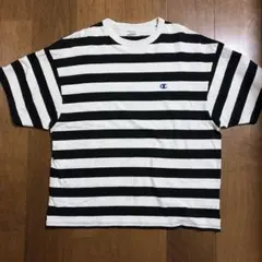 美品　Champion ストライプ Tシャツ Mサイズ　チャンピオン
