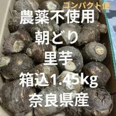 2026年最新】里芋 土垂の人気アイテム - メルカリ