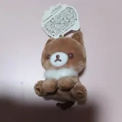 コリラックマ