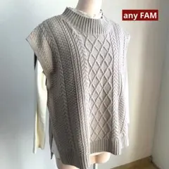 any FAM モックネック　ケーブル編み　ニットベスト　F