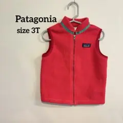 patagonia ベスト