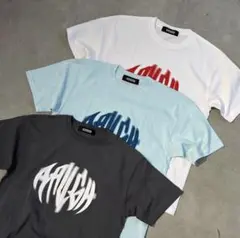 ⭐️ロゴTシャツ　(Raugh)