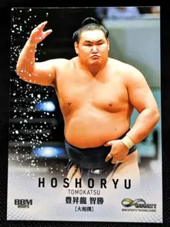 2025年最新】相撲の人気アイテム - メルカリ