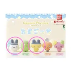 たまごっち　フロッキー