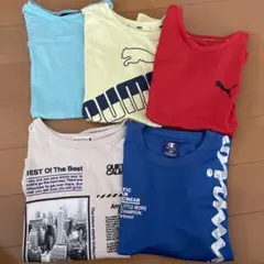 プーマ　ブランシェス　チャンピオン　Tシャツ　140 150